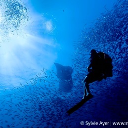 ©-Sylvie-Ayer-Maldives
