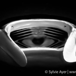 ©-Sylvie-Ayer-Maldives-Reef-manta-ray-Mobula-Alfred
