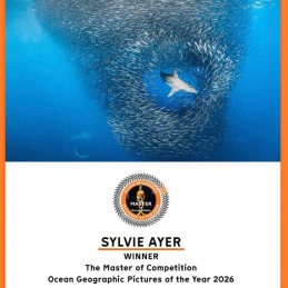 Sylvie-Ayer-OGPICOTY-WINNER-2026