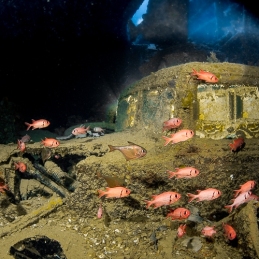 ©-Sylvie-Ayer-Egypte-thistlegorm-wreck