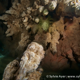 ©-Sylvie-Ayer-Micronesia-cavern-2