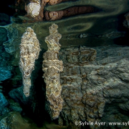 ©-Sylvie-Ayer-Micronesia-cavern